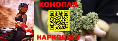 spice Коммунар